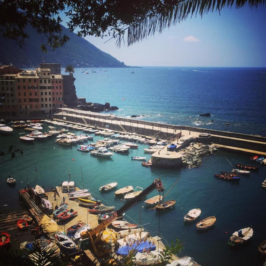 La Casa Della Fiore Camogli Eksteriør bilde