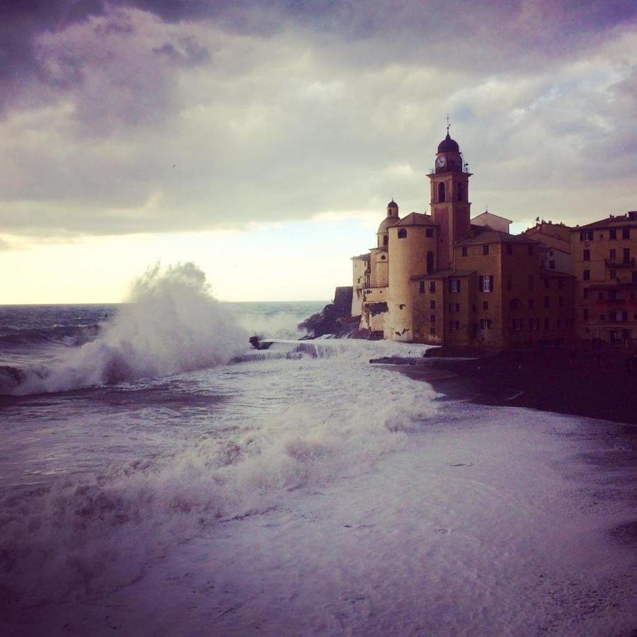 La Casa Della Fiore Camogli Eksteriør bilde