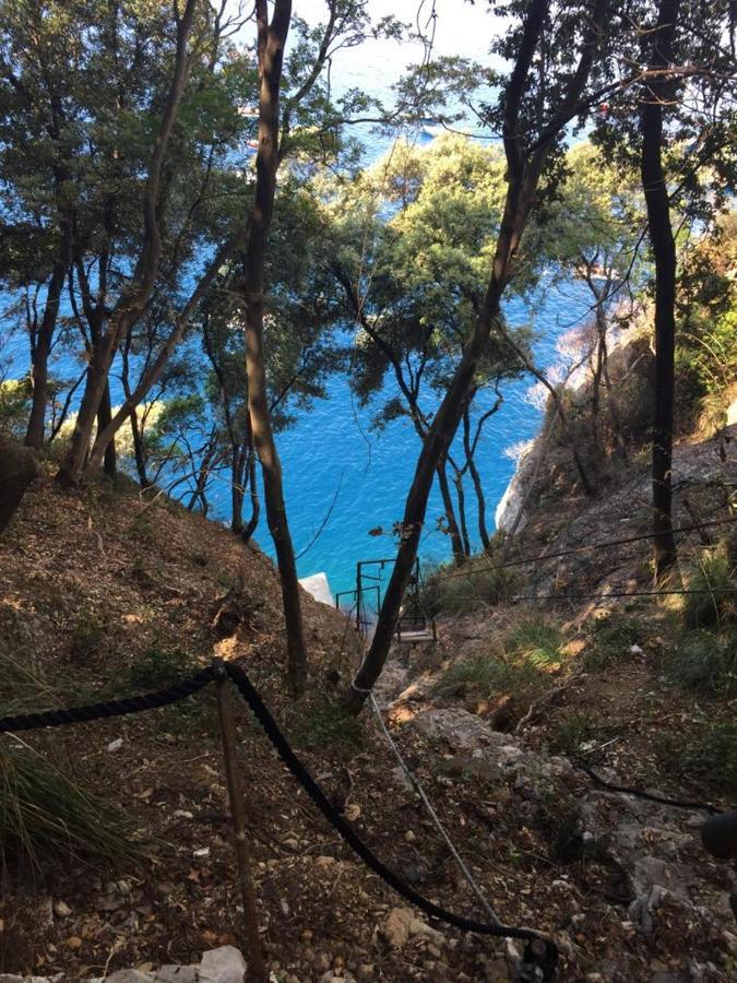 La Casa Della Fiore Camogli Eksteriør bilde